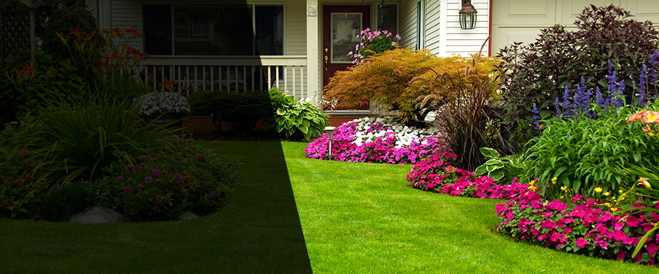 Hayden Landscapers