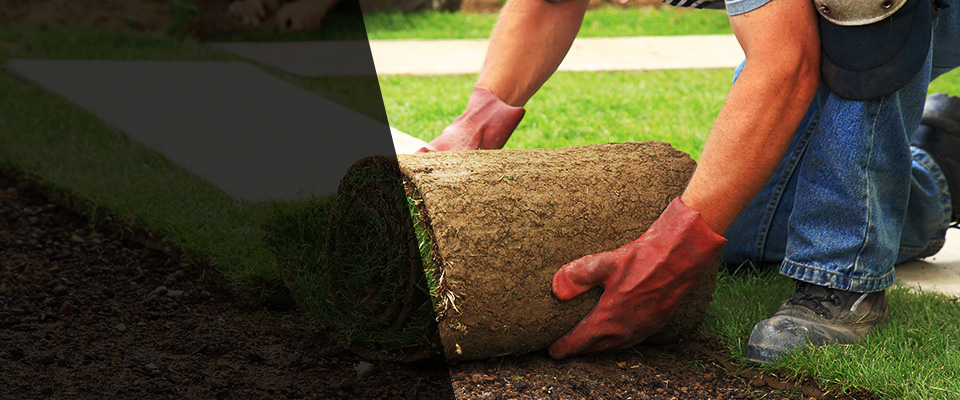 Hayden Landscapers